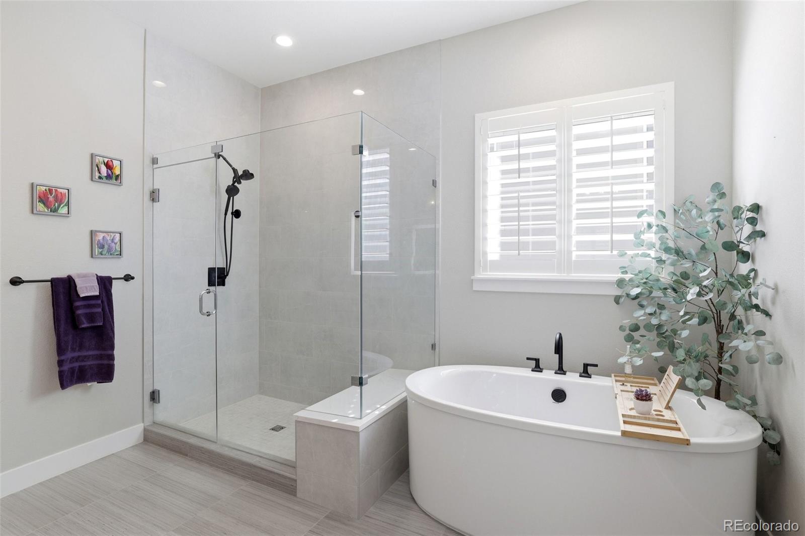 577 Scrubjay Circle Castle Rock CO 80104