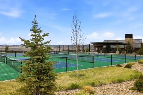 577 Scrubjay Circle Castle Rock CO 80104