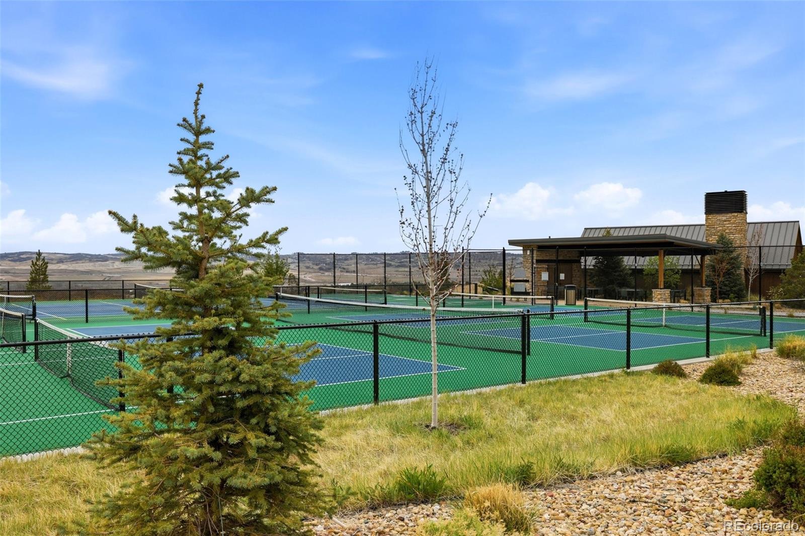 577 Scrubjay Circle Castle Rock CO 80104