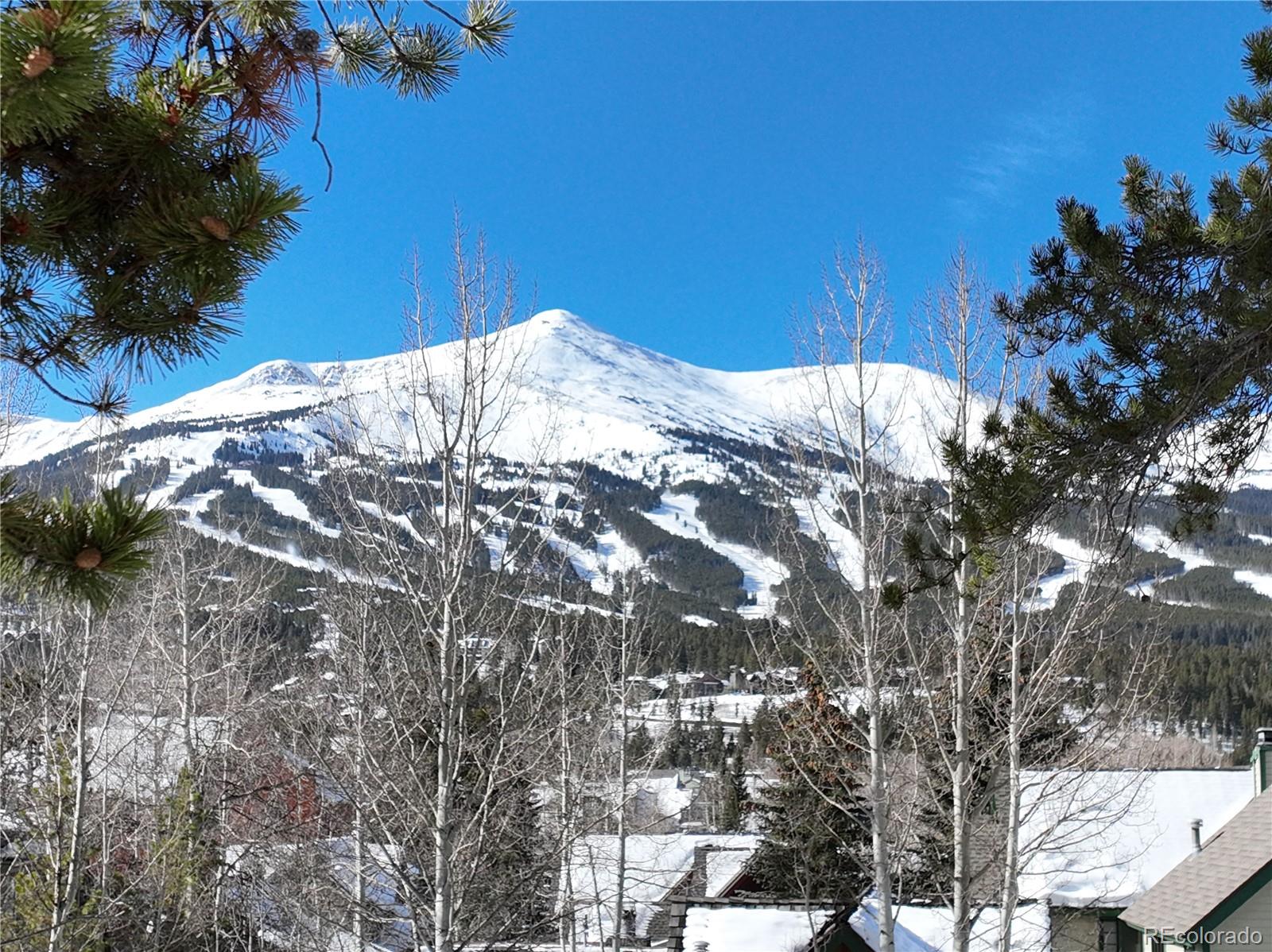 102 S High Street Breckenridge CO 80424