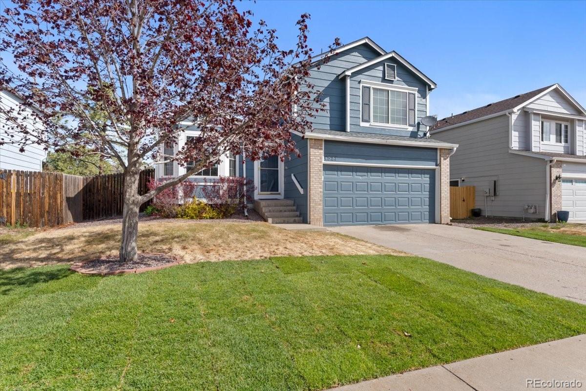 4527 E Andover Avenue Castle Rock CO 80104