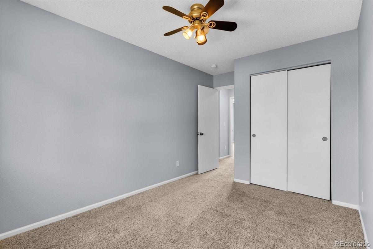 4527 E Andover Avenue Castle Rock CO 80104