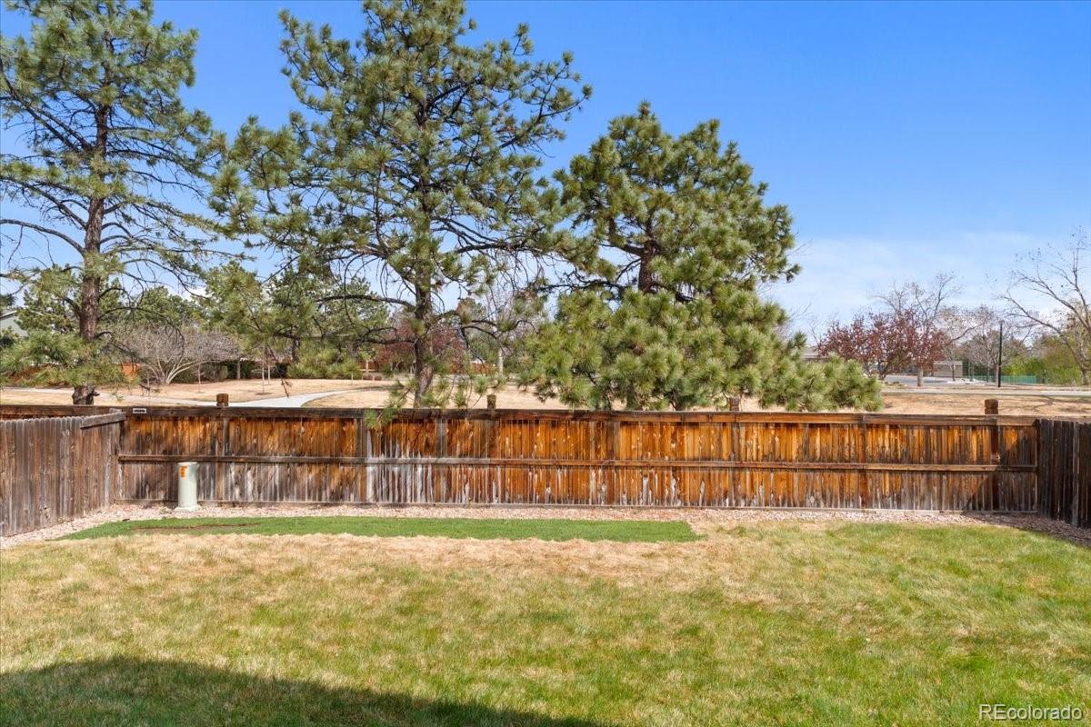 4527 E Andover Avenue Castle Rock CO 80104