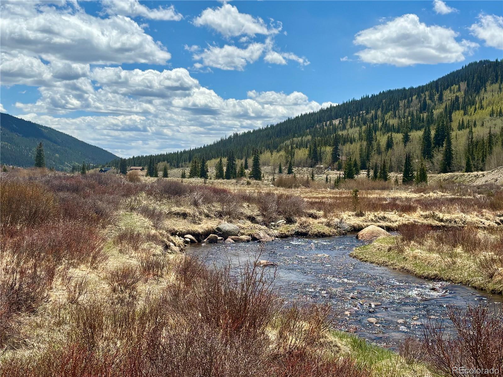 2246 County Road 4 Alma CO 80420