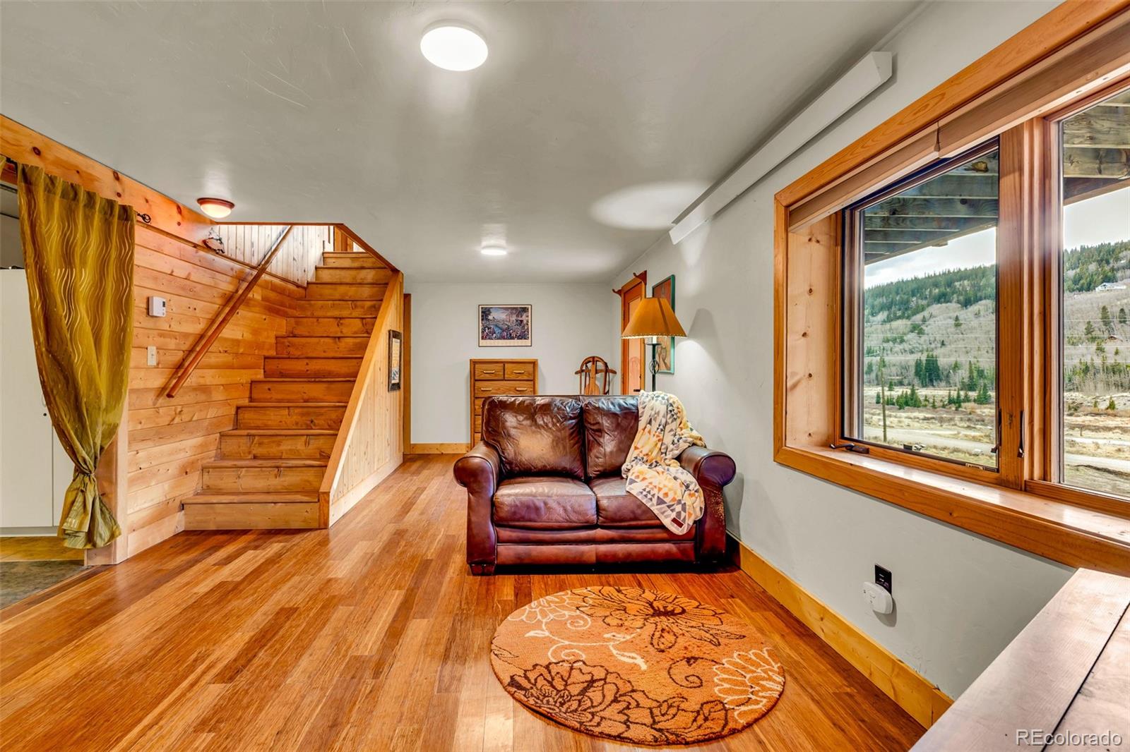 2246 County Road 4 Alma CO 80420