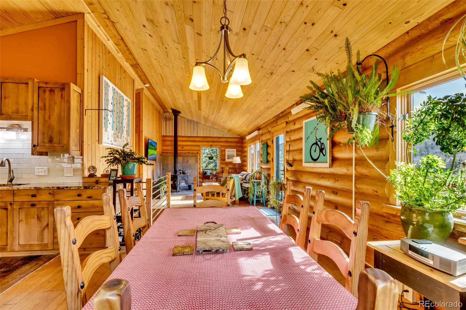 2246 County Road 4 Alma CO 80420