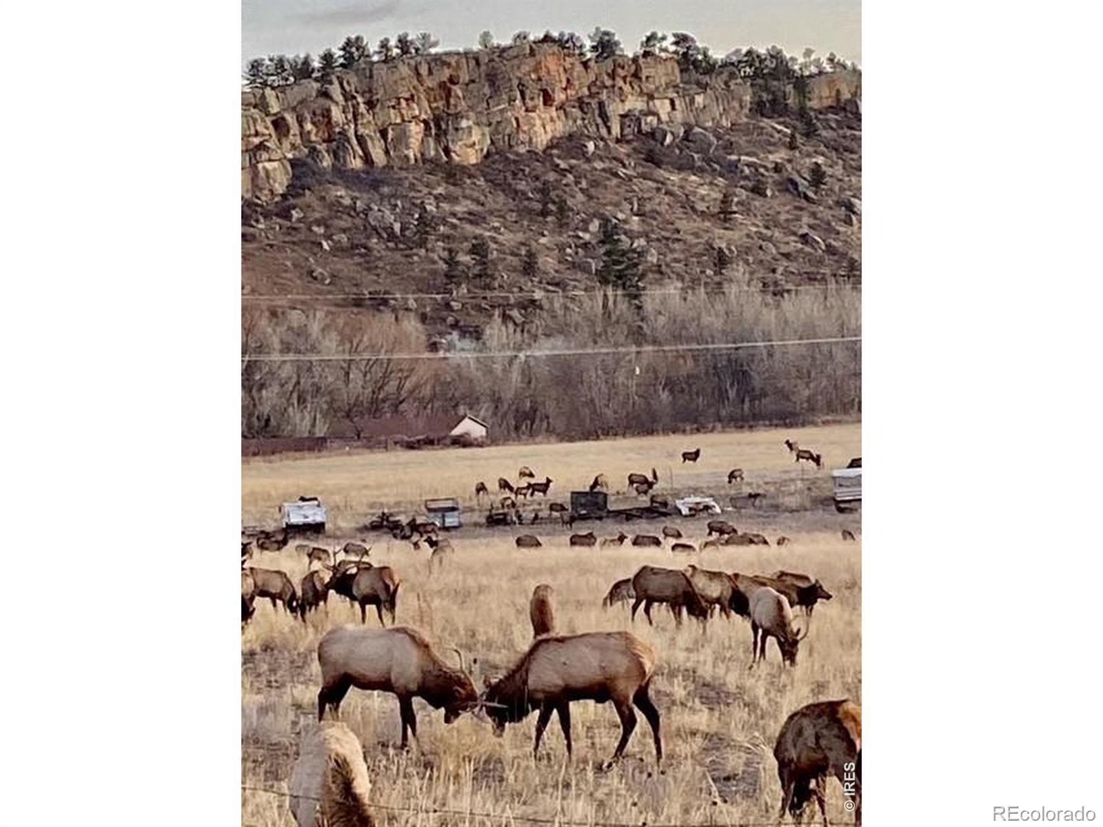 7239 W County Road 24 Loveland CO 80538