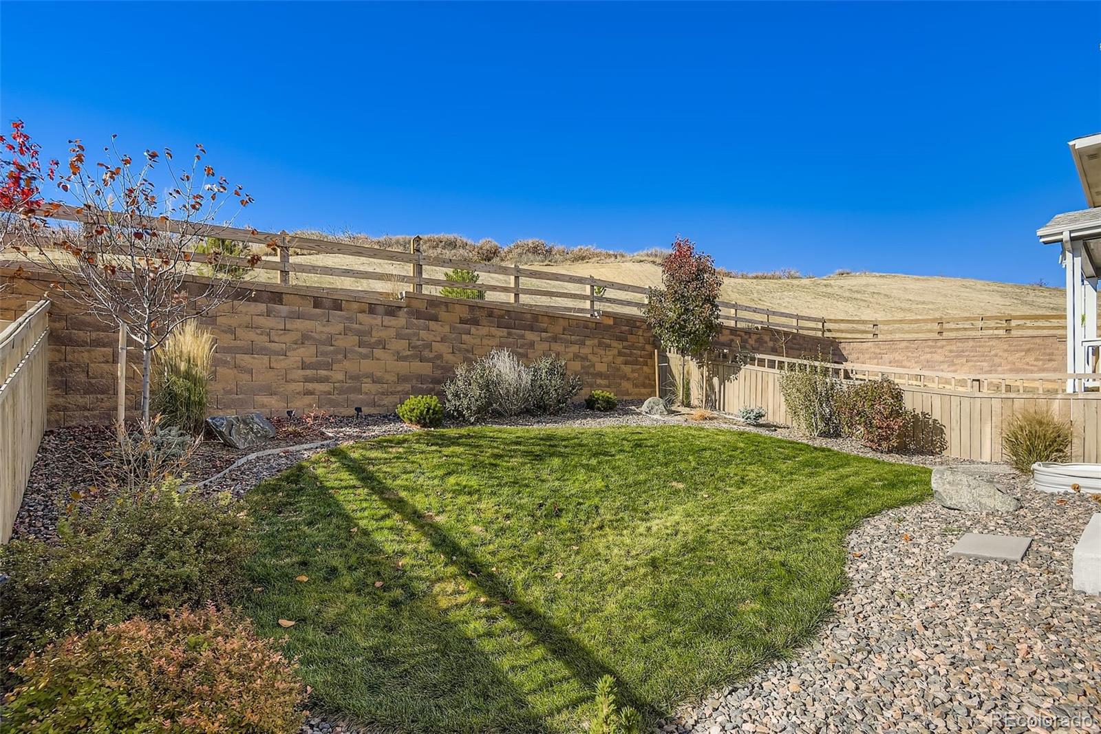 1033 Oleander Street Castle Rock CO 80109