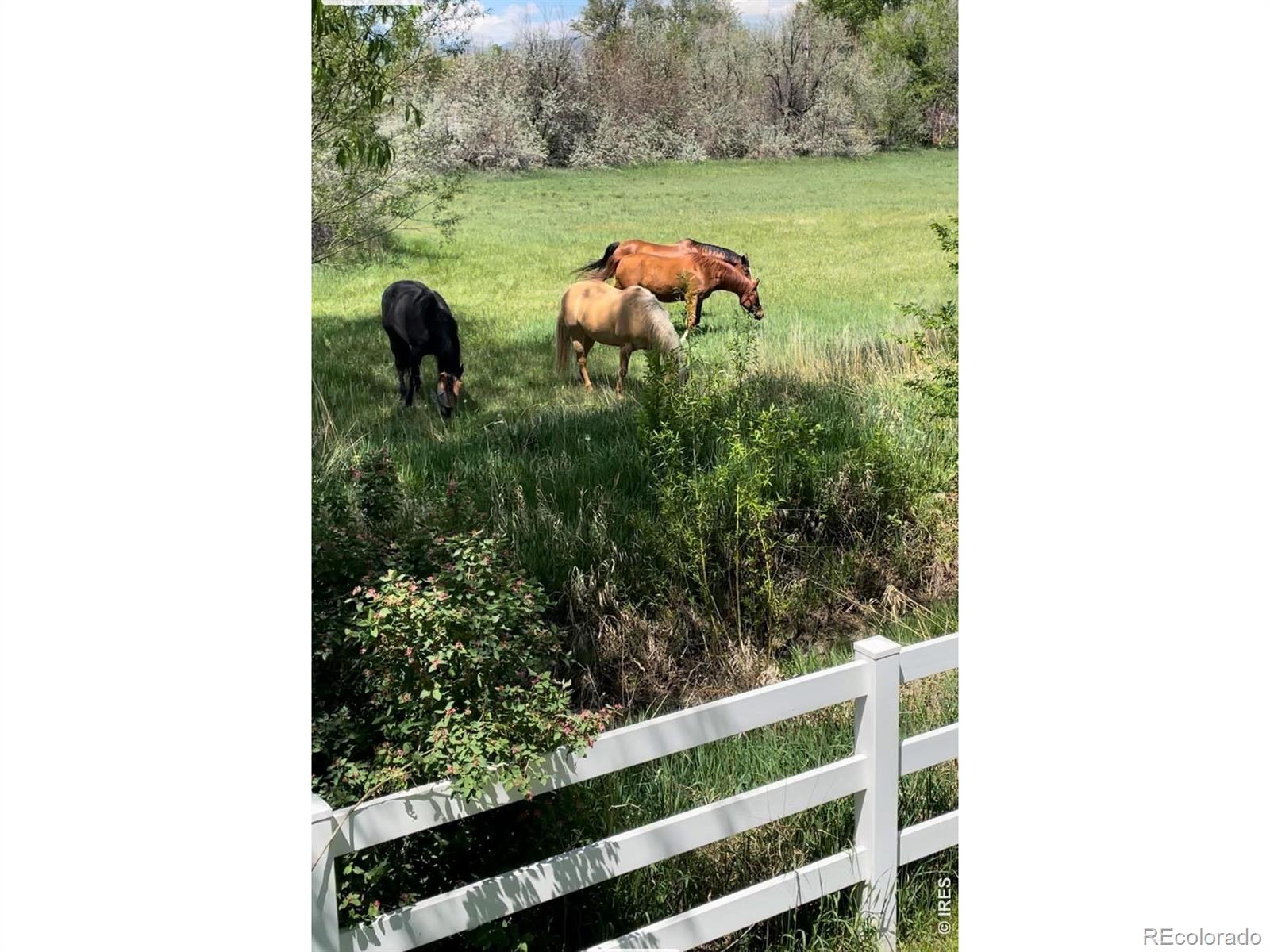 643 Teal Circle Longmont CO 80503