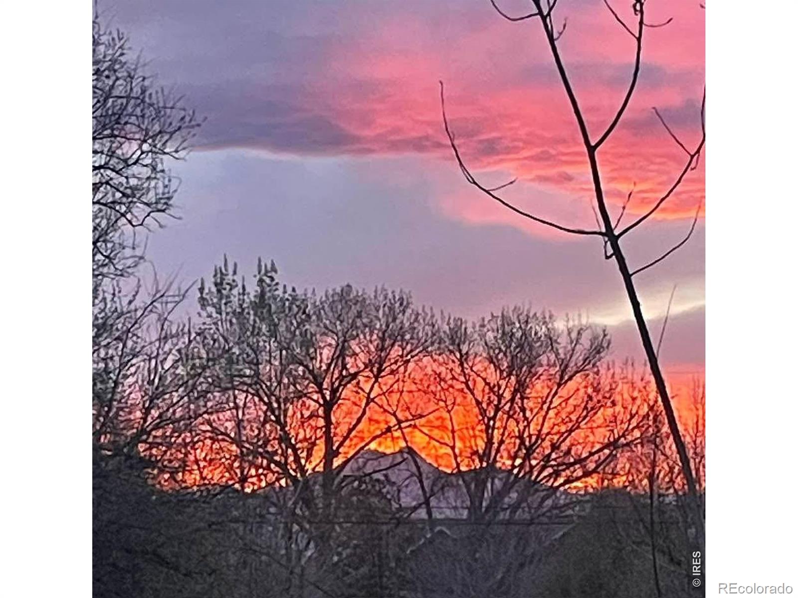 643 Teal Circle Longmont CO 80503
