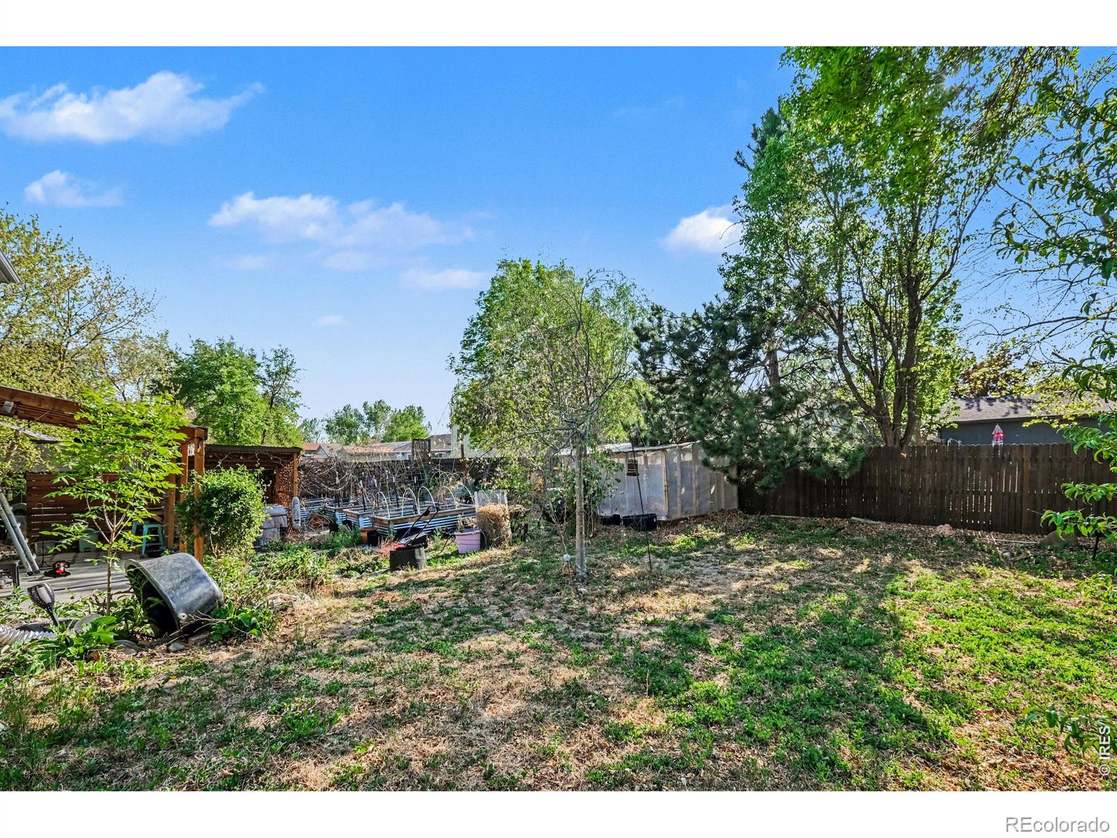 4219 Goldeneye Drive Fort Collins CO 80526