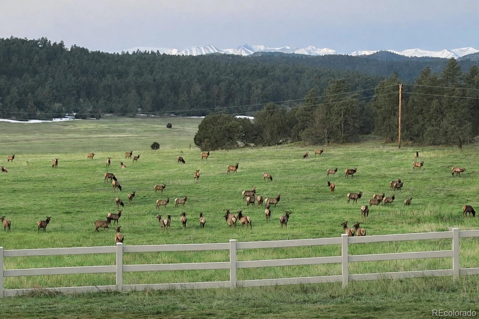 24030 County Road 43.6 Aguilar CO 81020