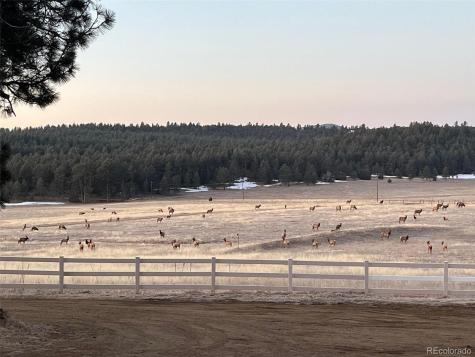 24030 County Road 43.6 Aguilar CO 81020