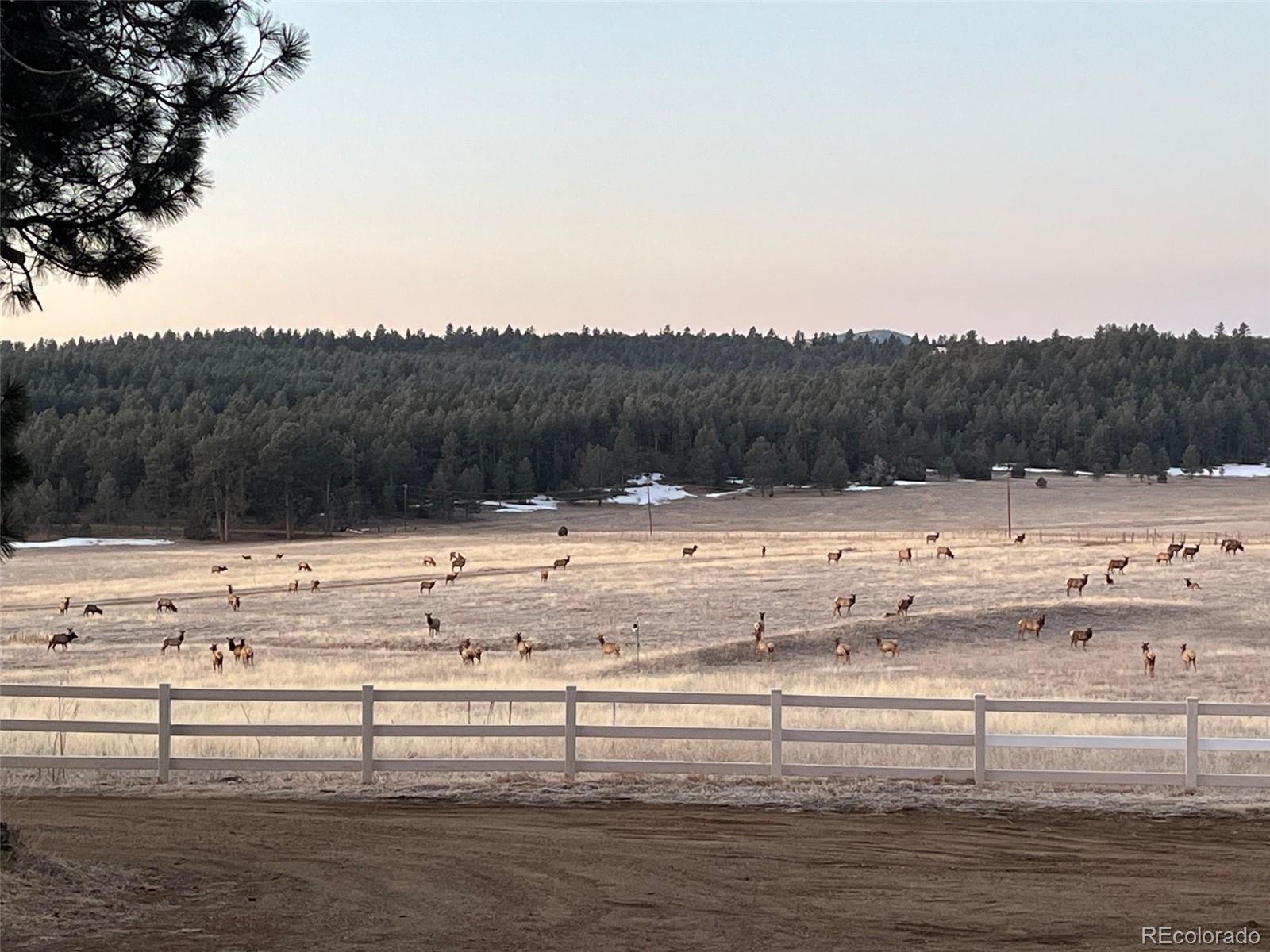 24030 County Road 43.6 Aguilar CO 81020