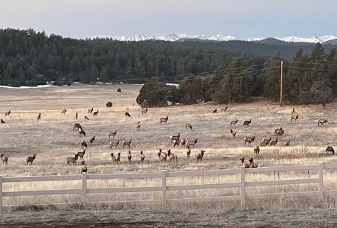 24030 County Road 43.6 Aguilar CO 81020