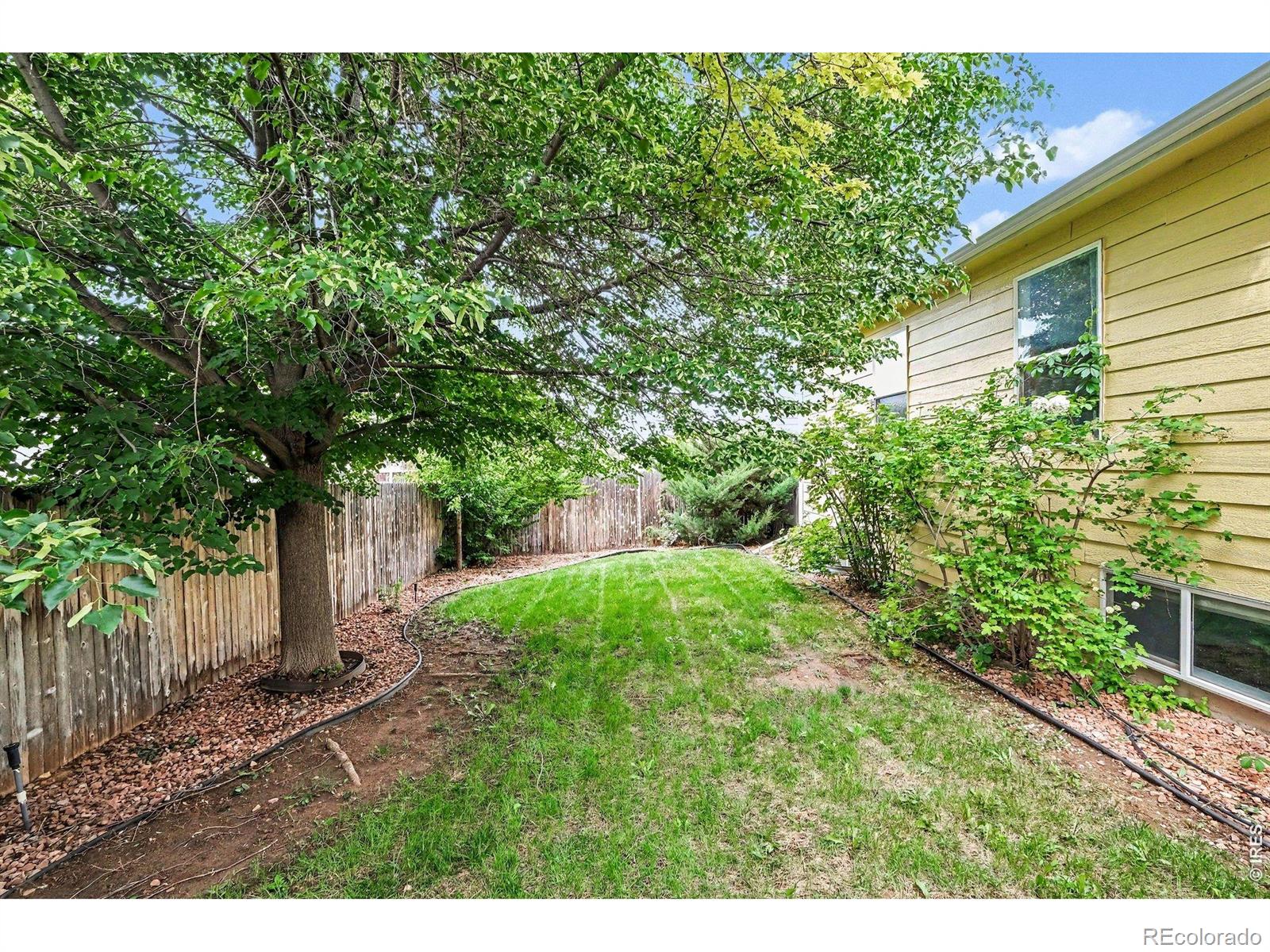 1507 51st Avenue Greeley CO 80634