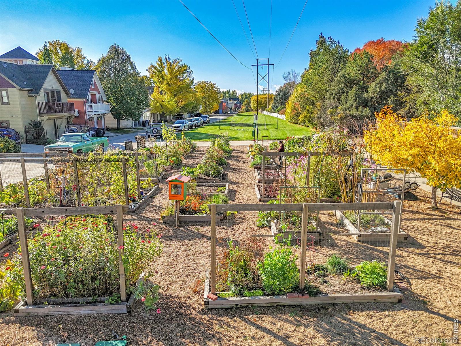 821 Incorrigible Circle Longmont CO 80504