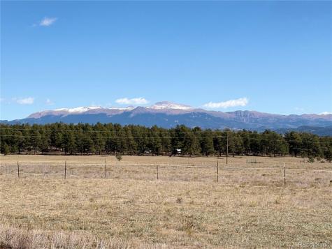 1925 Doe Valley Road Guffey CO 80820