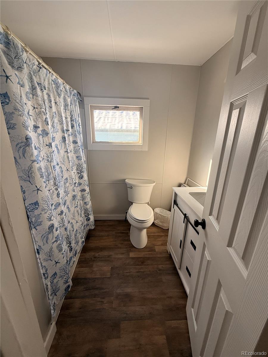305 Chestnut Street Leadville CO 80461