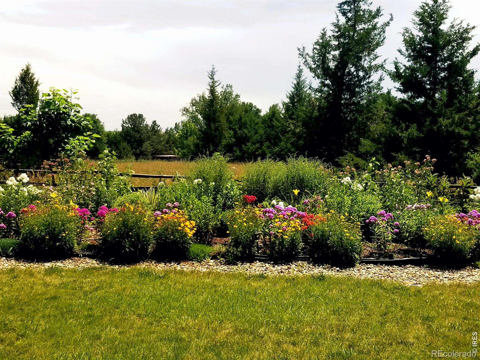 7598 Estate Circle Niwot CO 80503