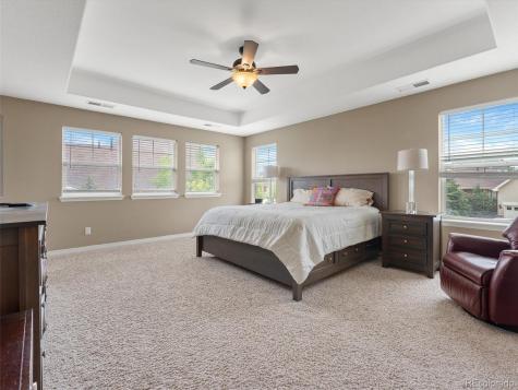 3919 Desert Ridge Circle Castle Rock CO 80108