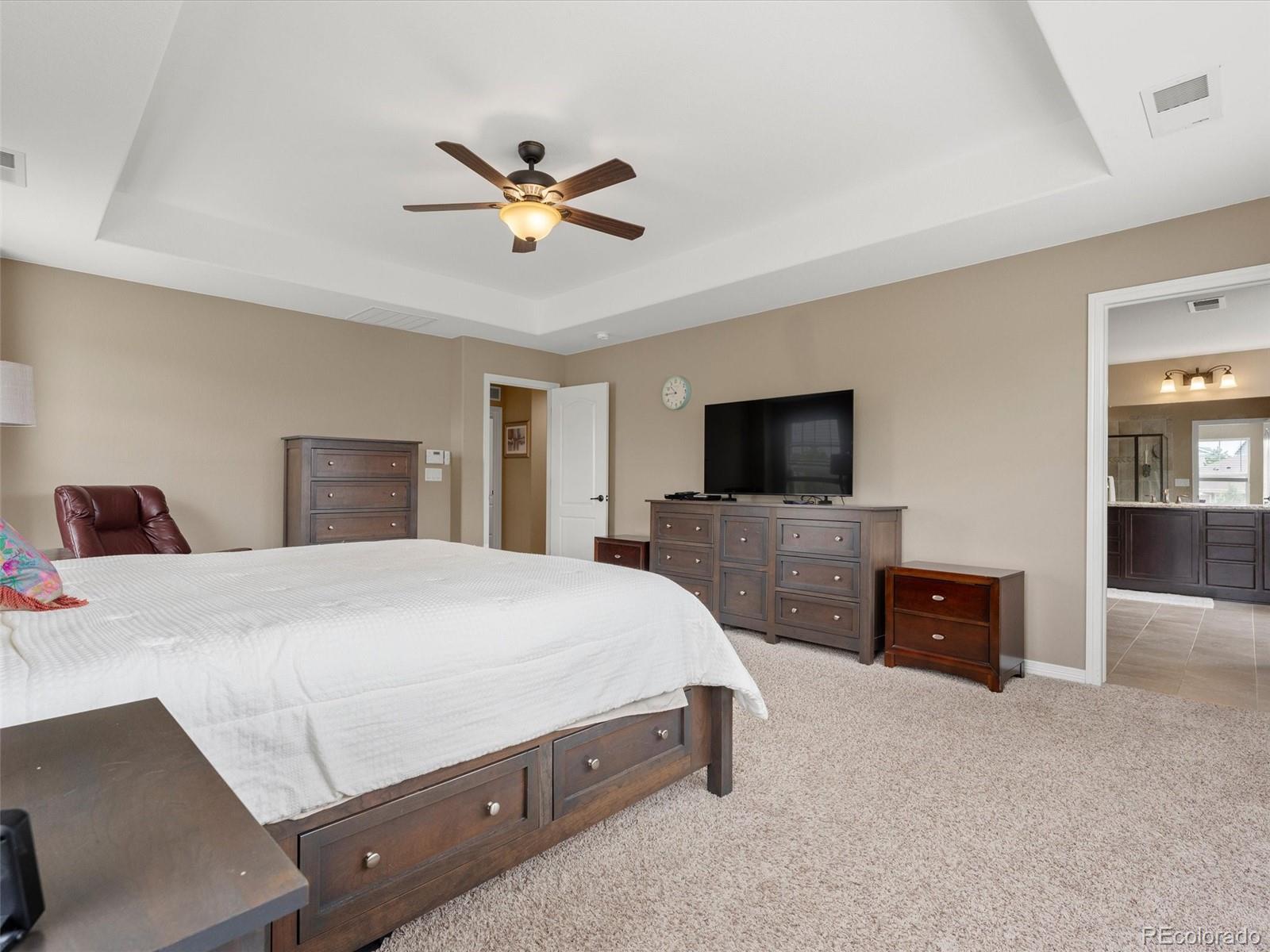 3919 Desert Ridge Circle Castle Rock CO 80108