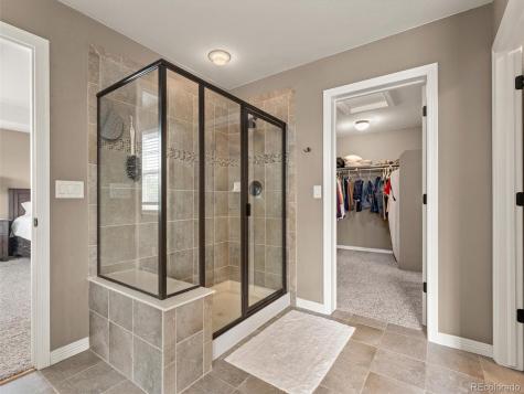 3919 Desert Ridge Circle Castle Rock CO 80108