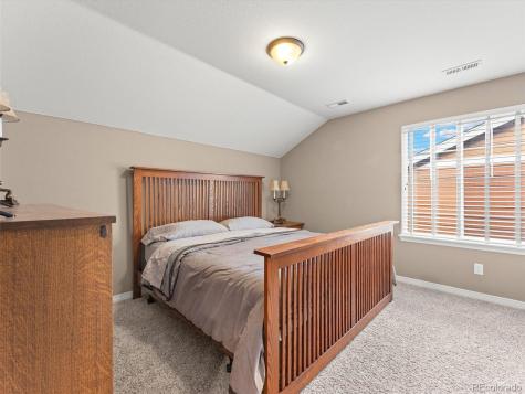 3919 Desert Ridge Circle Castle Rock CO 80108