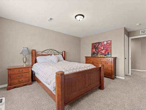 3919 Desert Ridge Circle Castle Rock CO 80108