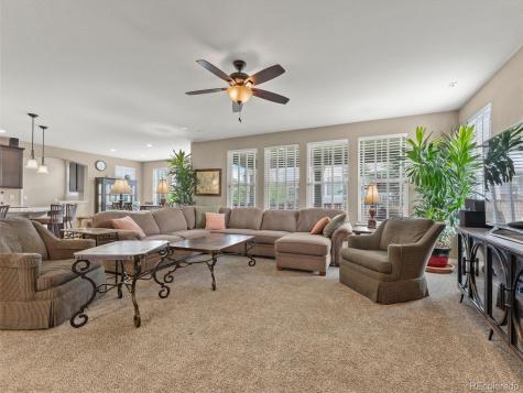 3919 Desert Ridge Circle Castle Rock CO 80108