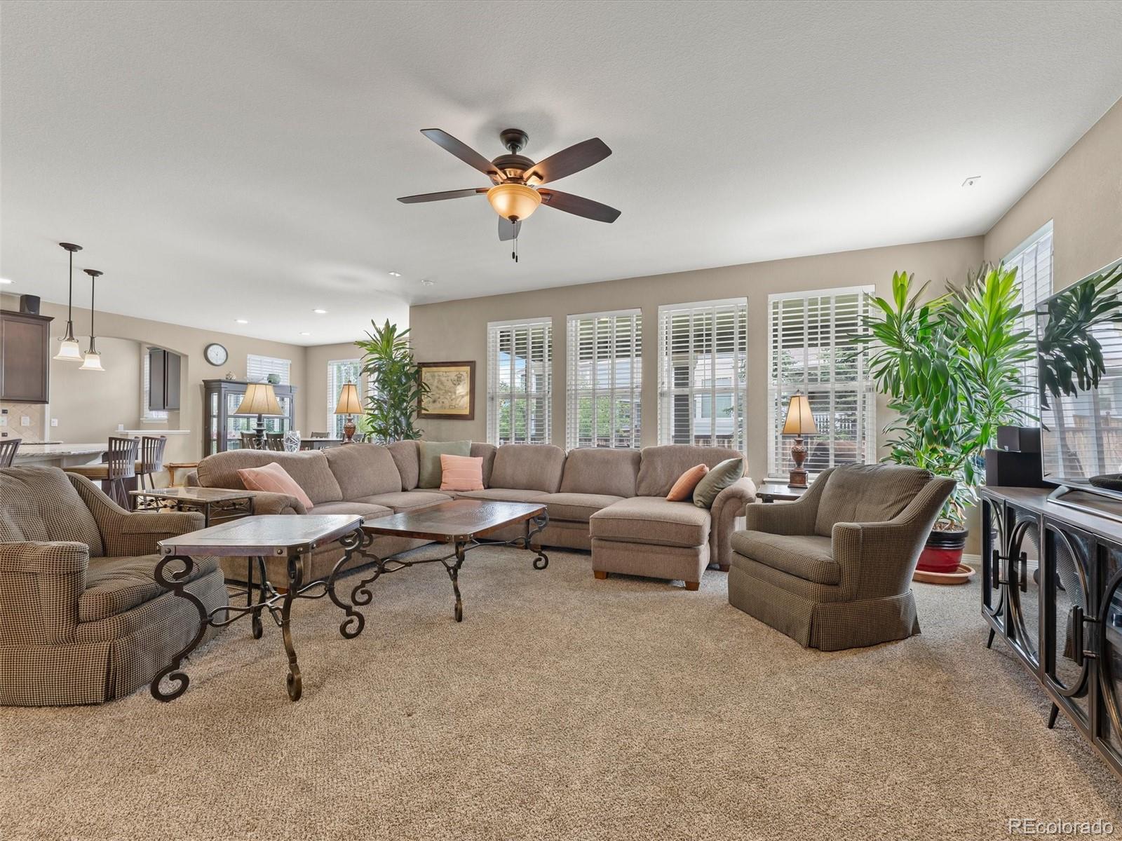 3919 Desert Ridge Circle Castle Rock CO 80108