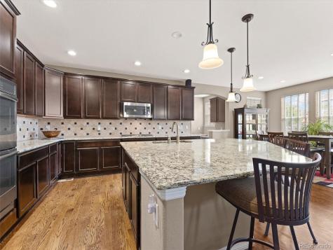 3919 Desert Ridge Circle Castle Rock CO 80108