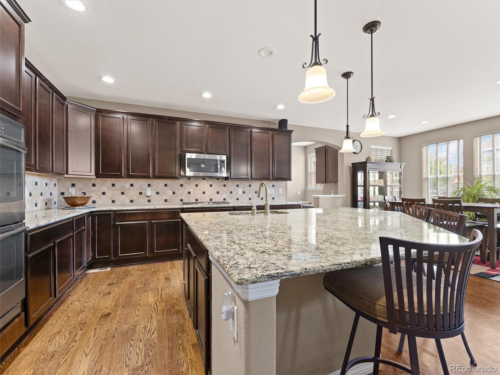 3919 Desert Ridge Circle Castle Rock CO 80108