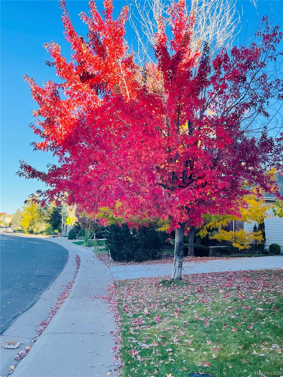 16866 E Peakview Avenue Aurora CO 80016