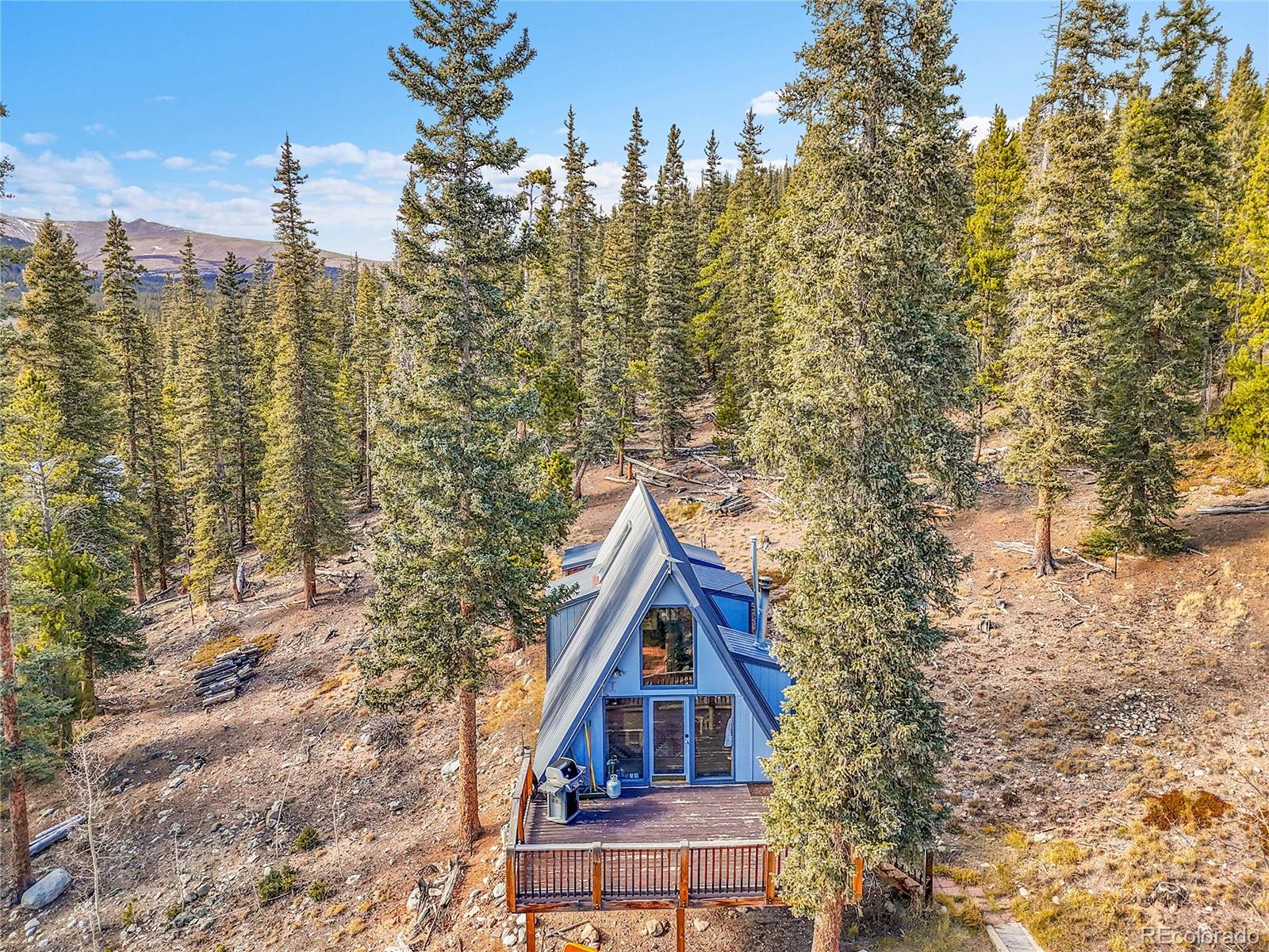 3427 Co Road 14 Fairplay CO 80440