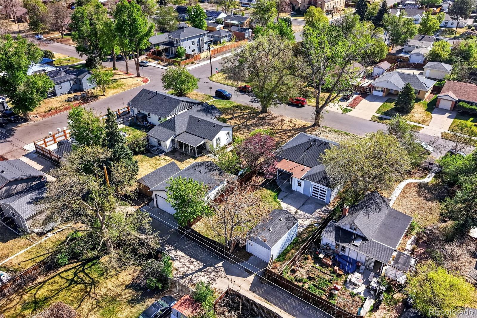 1567 Rosemary Street Denver CO 80220