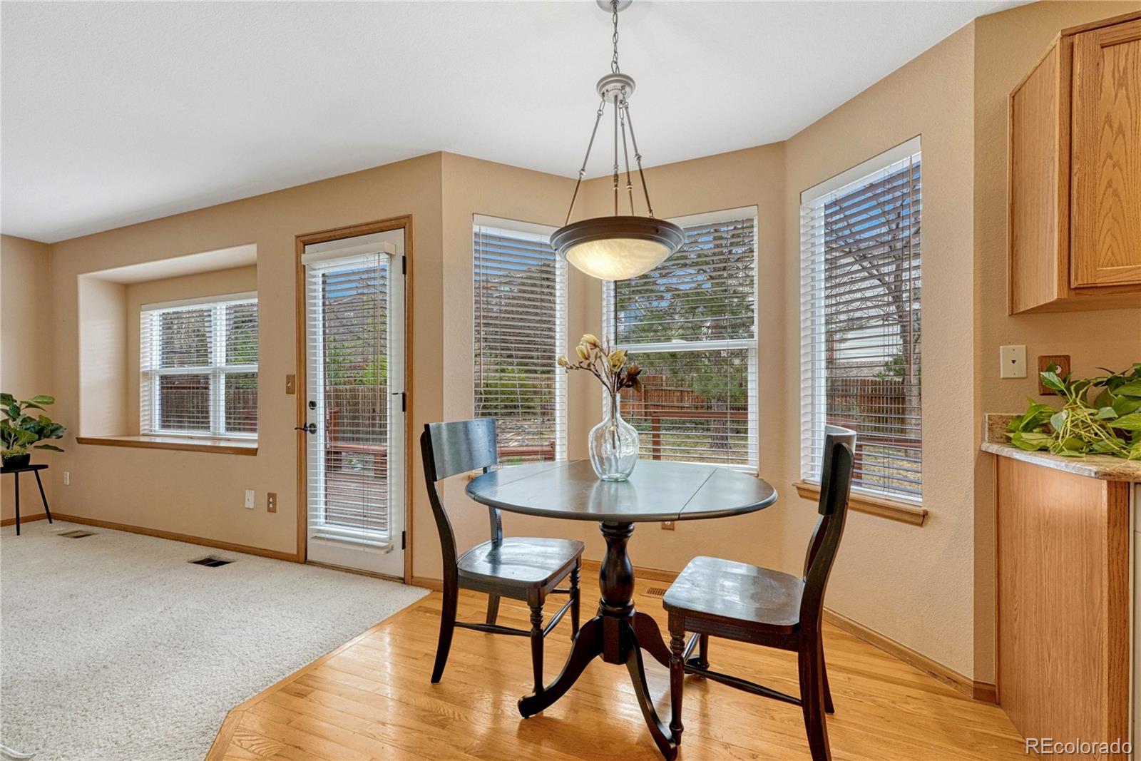 5772 S Truckee Street Centennial CO 80015