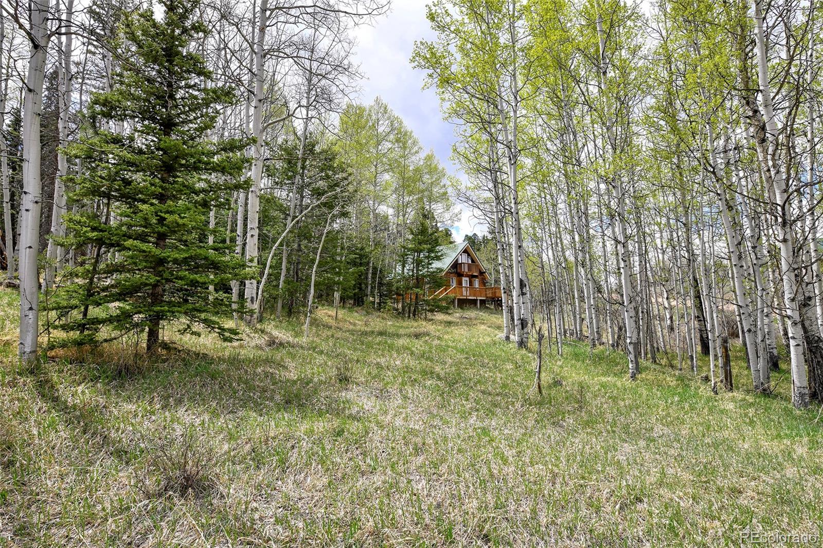 454 Eagle Rock Road Florissant CO 80816