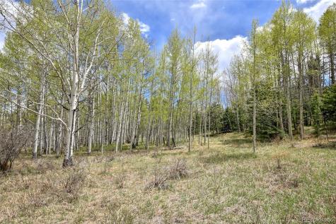 454 Eagle Rock Road Florissant CO 80816