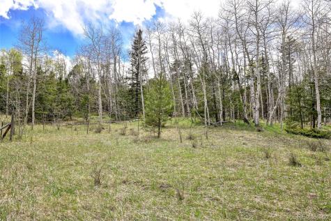 454 Eagle Rock Road Florissant CO 80816