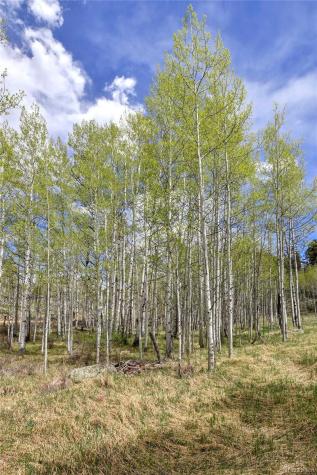 454 Eagle Rock Road Florissant CO 80816