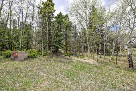 454 Eagle Rock Road Florissant CO 80816