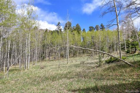 454 Eagle Rock Road Florissant CO 80816