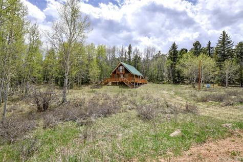 454 Eagle Rock Road Florissant CO 80816