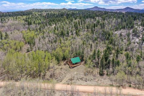 454 Eagle Rock Road Florissant CO 80816