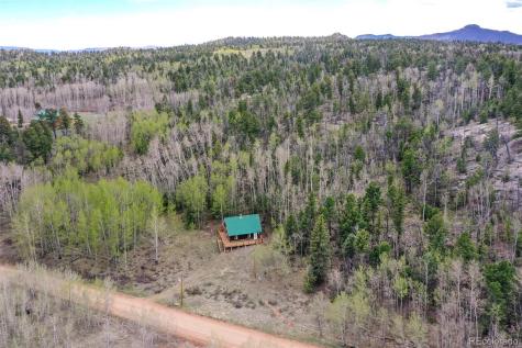 454 Eagle Rock Road Florissant CO 80816