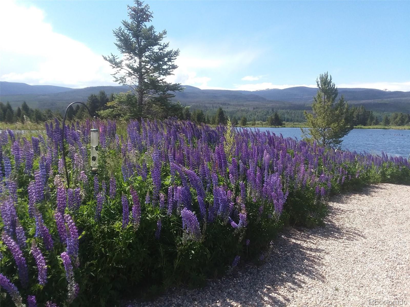 1443 GCR 49 Grand Lake CO 80447