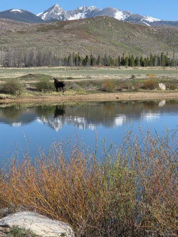 1443 GCR 49 Grand Lake CO 80447