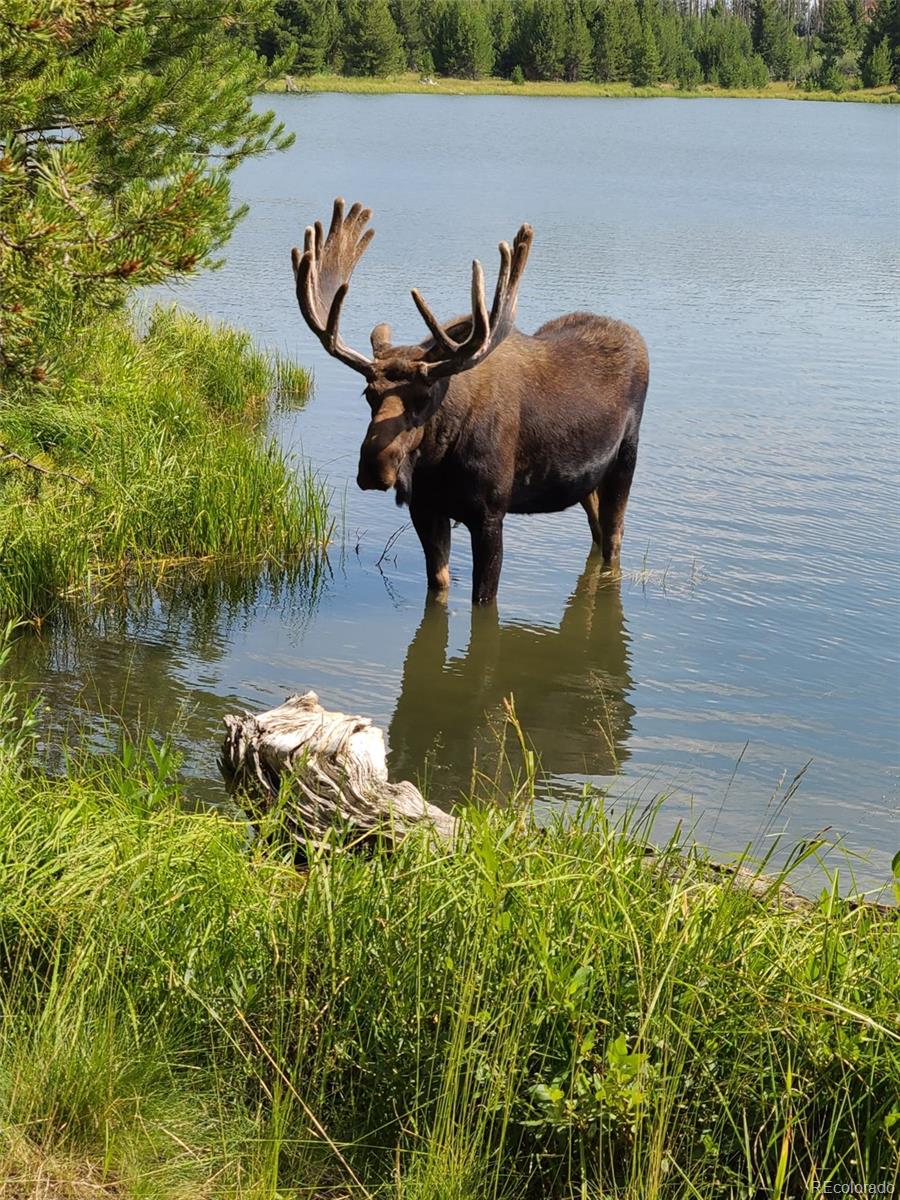 1443 GCR 49 Grand Lake CO 80447
