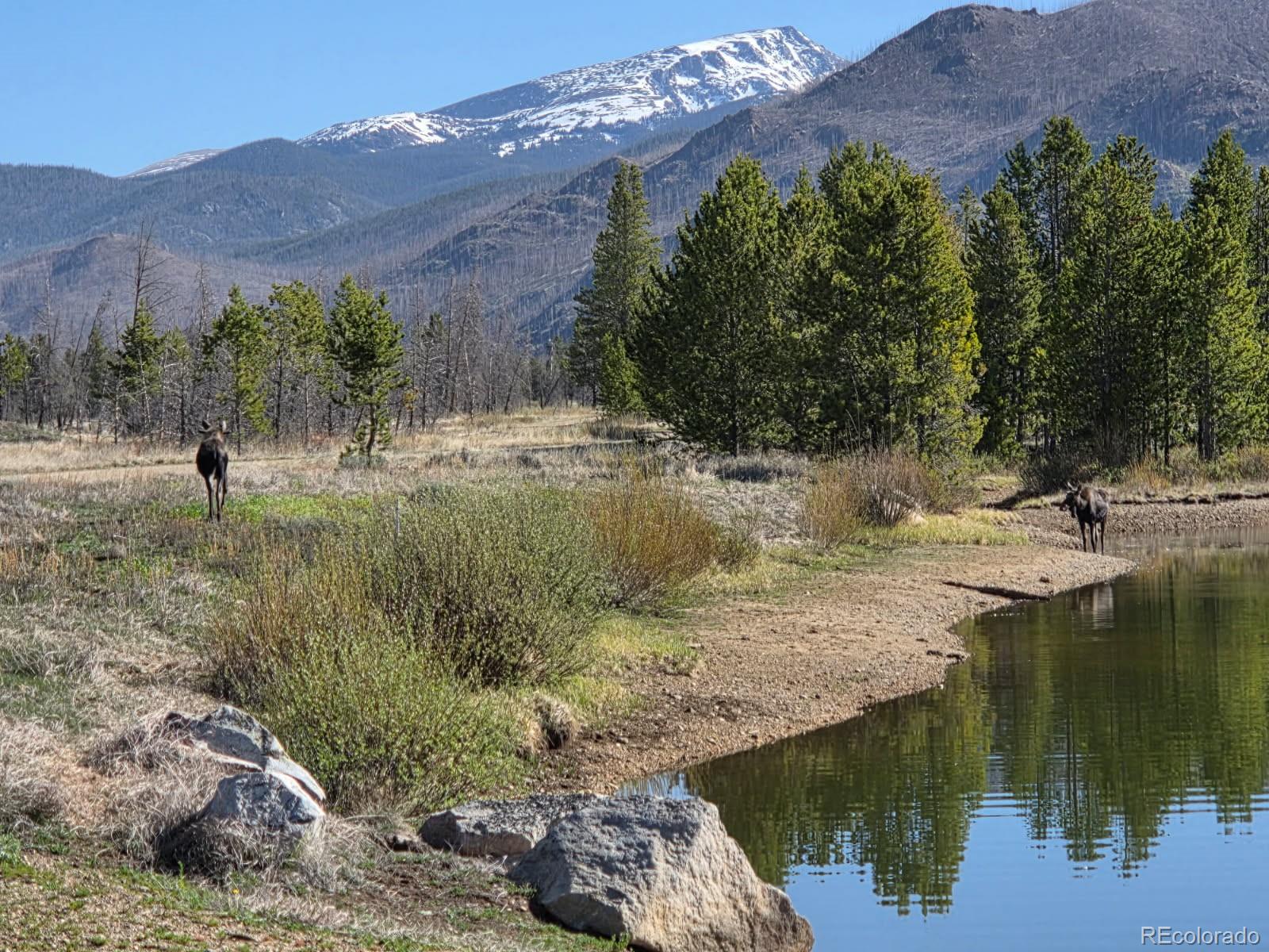 1443 GCR 49 Grand Lake CO 80447